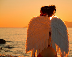 Divine Timing - Angel Wings
